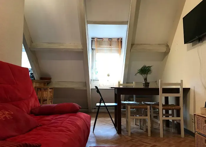 Au Pied Du Telecabine, T2 Parking Et Casier A Cauterets